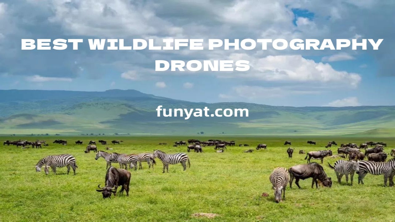 A Guide to Photographing Wildlife with Drones