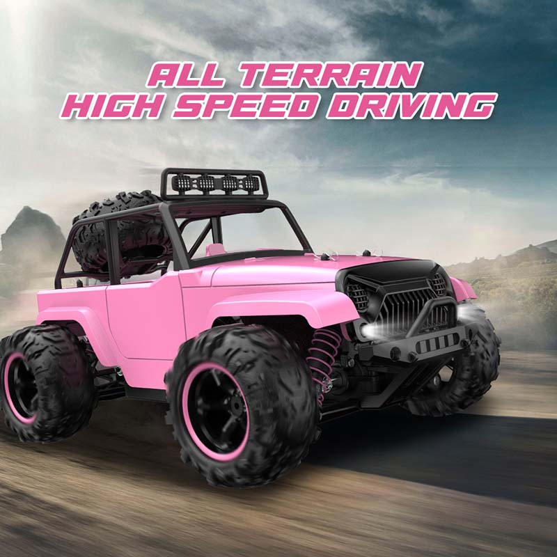 RC Car Pink 1:18 Full-Scale High-Speed Car Off-Road Climbing 4WD Waterproof drift RC Car