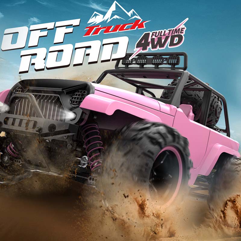RC Car Pink 1:18 Full-Scale High-Speed Car Off-Road Climbing 4WD Waterproof drift RC Car
