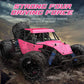 RC Car Pink 1:18 Full-Scale High-Speed Car Off-Road Climbing 4WD Waterproof drift RC Car